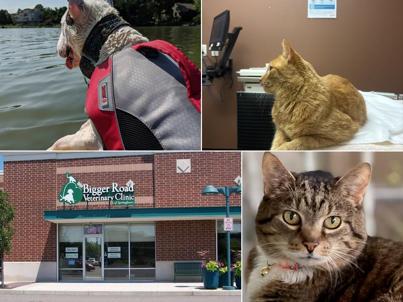 Bigger Road Veterinary Center