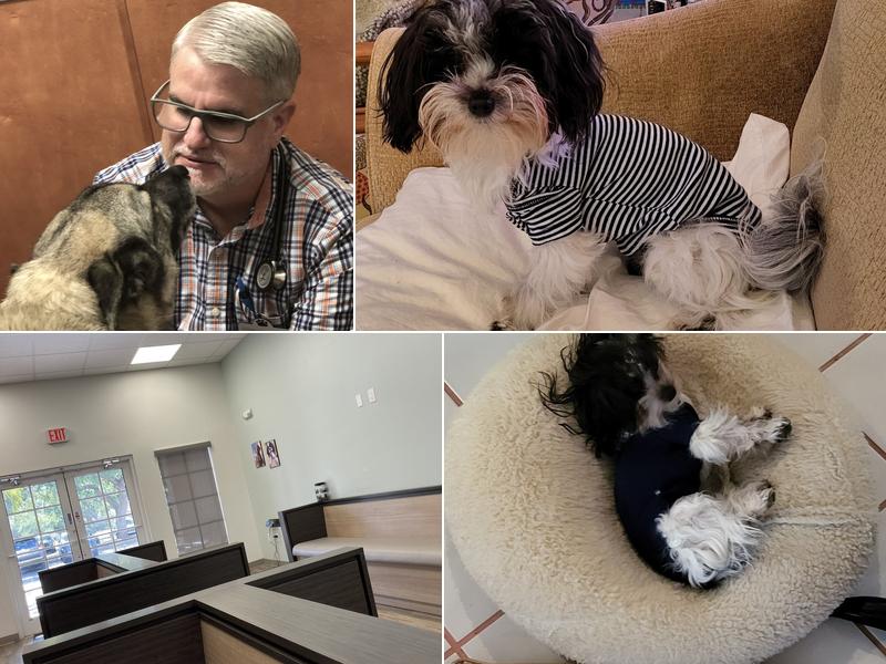 Evelyn Andre Hansen, D.V.M