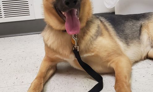 Long Prairie Veterinary Clinic 541 Lake St S, Long Prairie Minnesota 56347