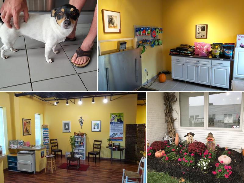 Chagrin Falls Pet Clinic & Veterinary Center