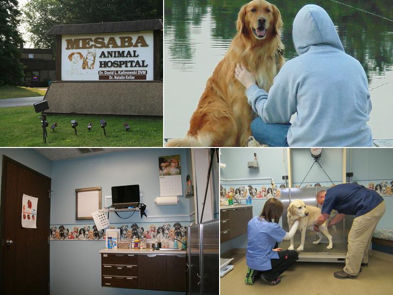 Mesaba Animal Hospital