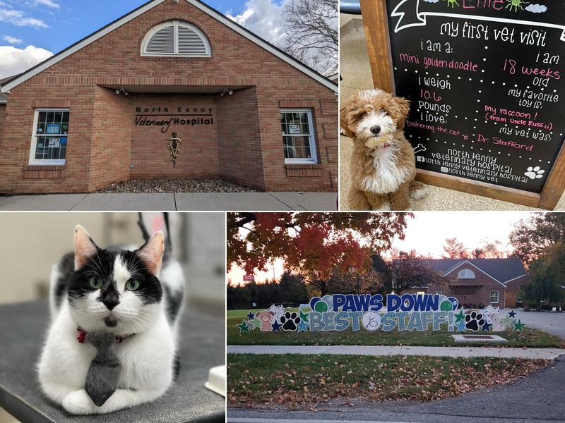 North Kenny Veterinary Hospital