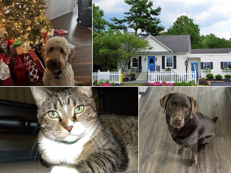 Hudson Veterinary Hospital