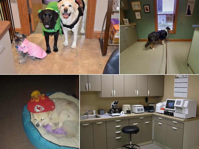 Twin Lakes Veterinary Hospital