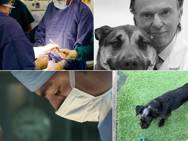 Bone, Joint and Spine Clinic