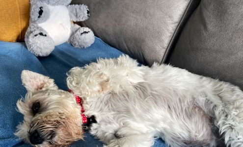 Happy Pet Veterinary Hospital 6170 Emerald St, North Ridgeville Ohio 44039