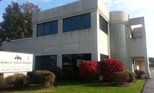 Dr. Mark Gigliotti DVM Amherst