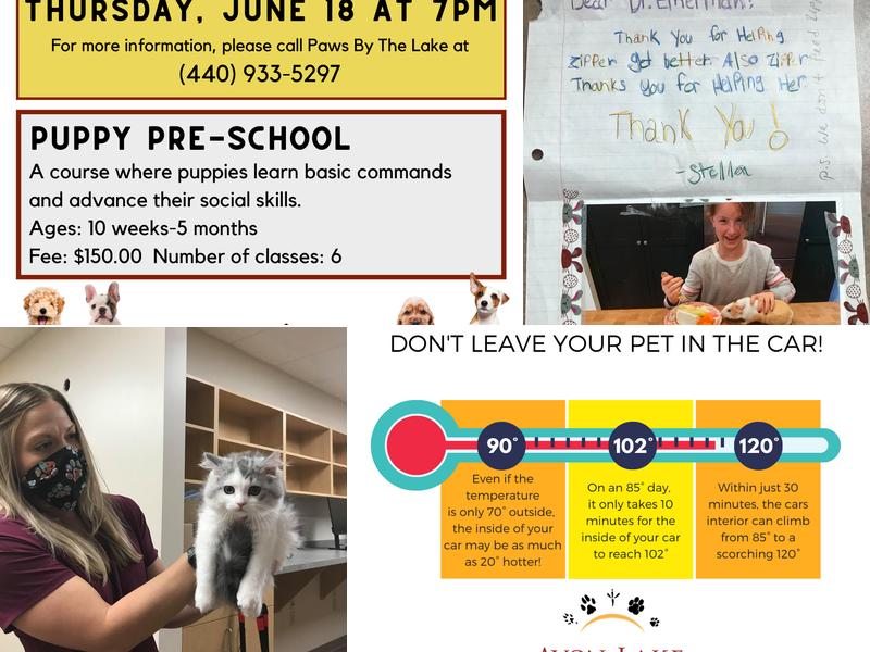 Dr. Julie Letosky, DVM, CCRP