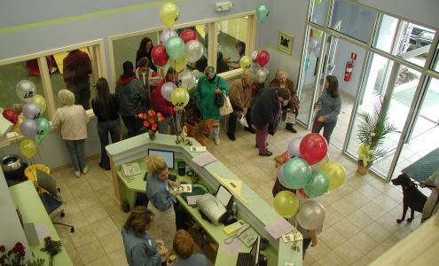 Forever Friends Pet Care Center & Hospital