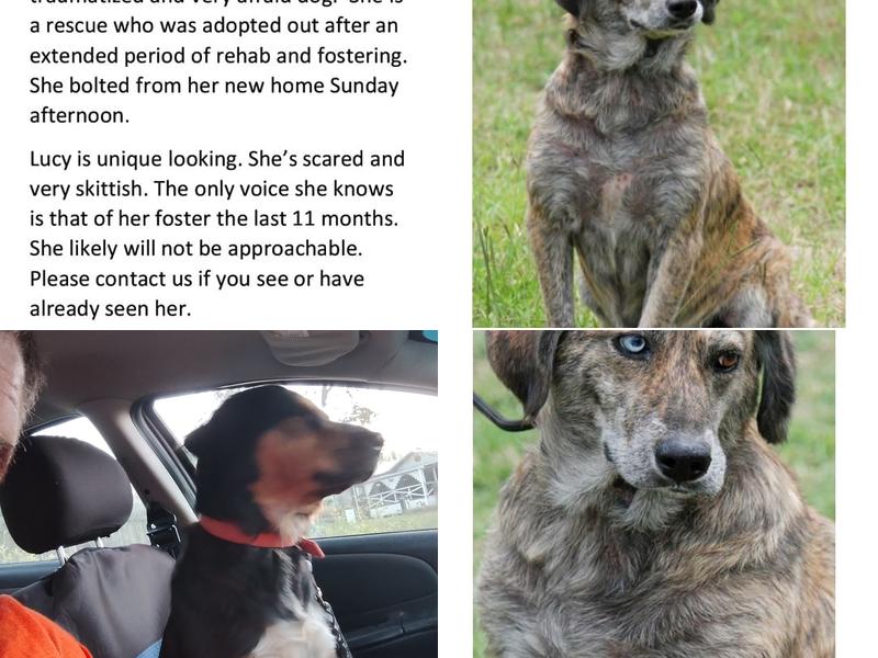 Center Veterinary-Reproduction