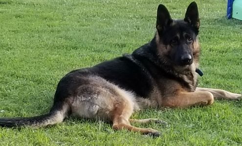 South Plains Veterinary Clinic