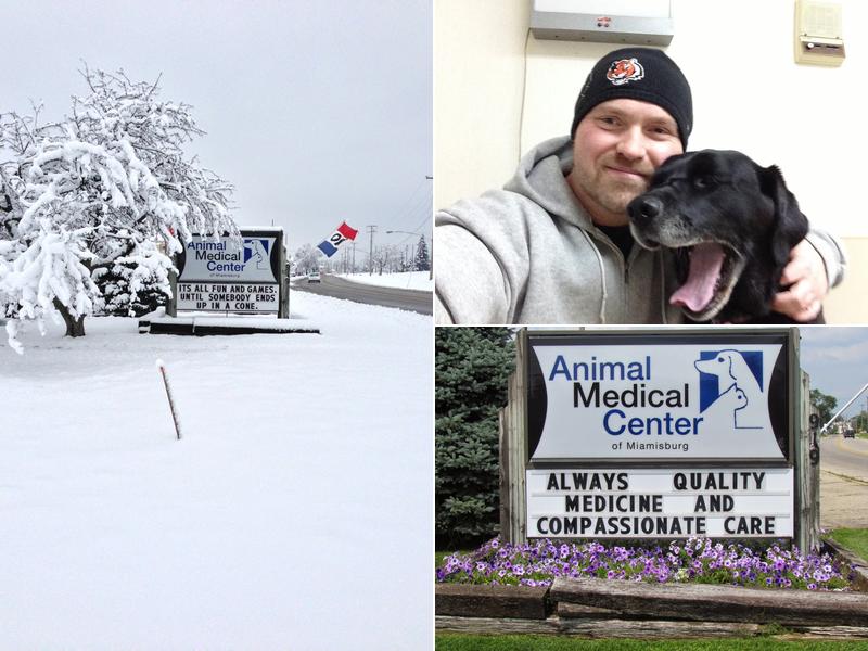 Animal Medical Center of Miamisburg