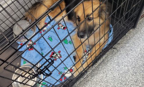 Northeast Ohio SPCA Pet Shelter