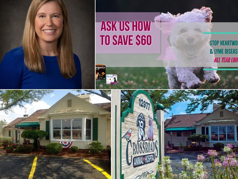 Kimberly Cooper, DVM