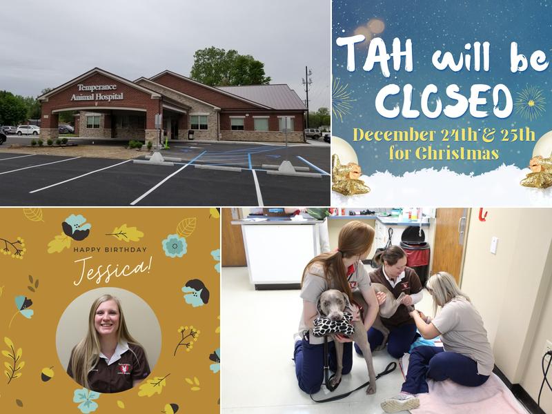 Temperance Animal Hospital