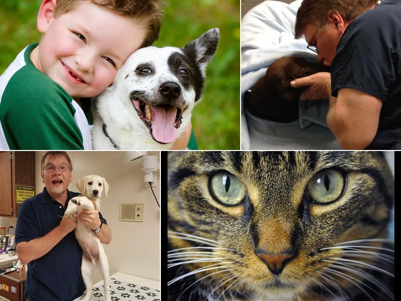 Countryside Animal Hospital