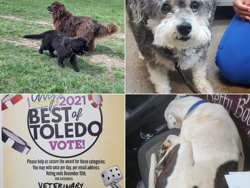 Daniel Overmeyer Veterinary Center