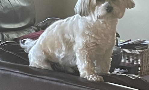 Crosslake Veterinary Hospital 35668 Co Rd 3, Crosslake Minnesota 56442