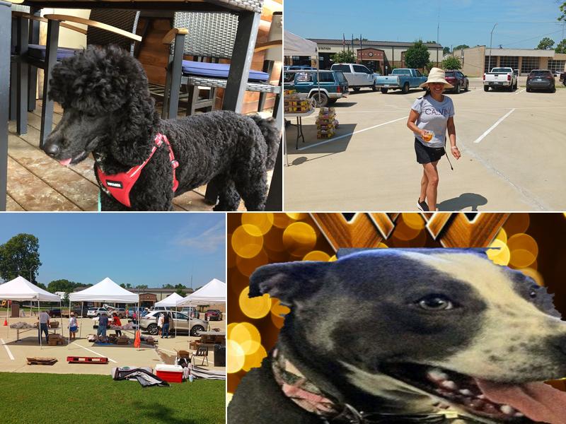 Idabel Veterinary Clinic