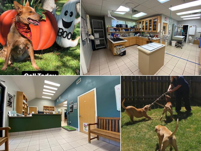 Green Oaks North Pet Hospital