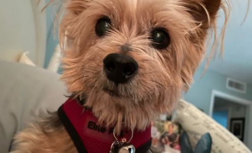 Howe E Andrew DVM 4851 SW 60th Ave, Ocala Florida 34474