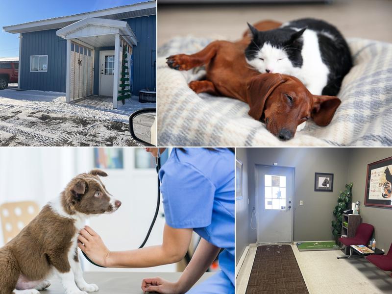 Acorn Lake Veterinary Service