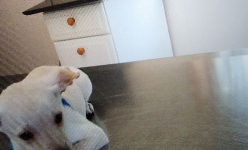 Twin Pines Veterinary Clinic Askov