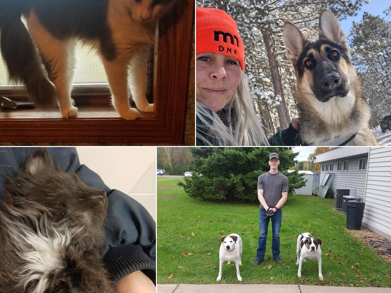 Twin Pines Veterinary Clinic and Boarding