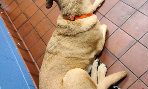 Morris Veterinary Center Psc 605 W 5th St, Morris Minnesota 56267