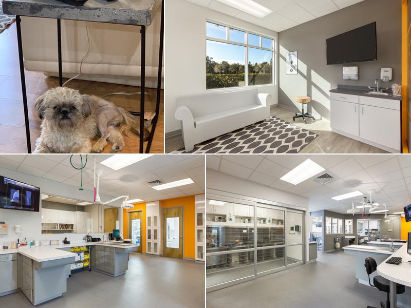 Veterinary Surgery Center of Sarasota