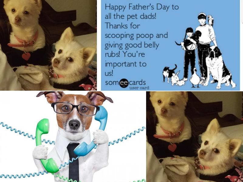 Kim VanWagner, D.V.M.