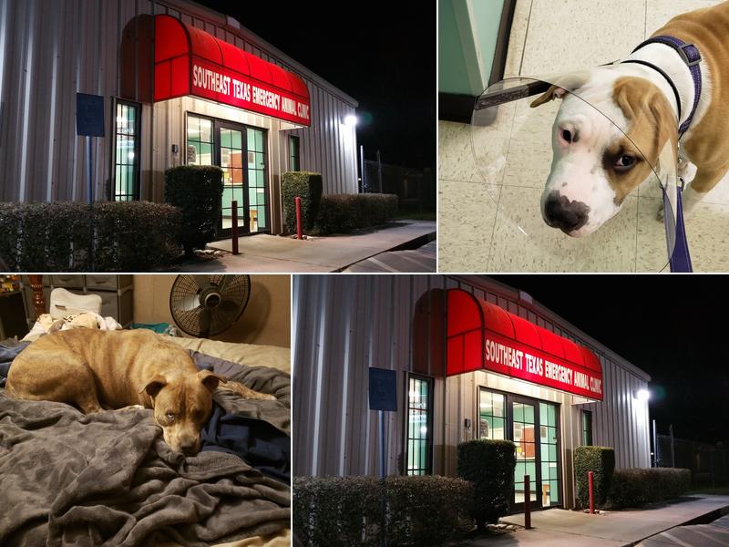 Southeast Texas Animal Emergency Clinic