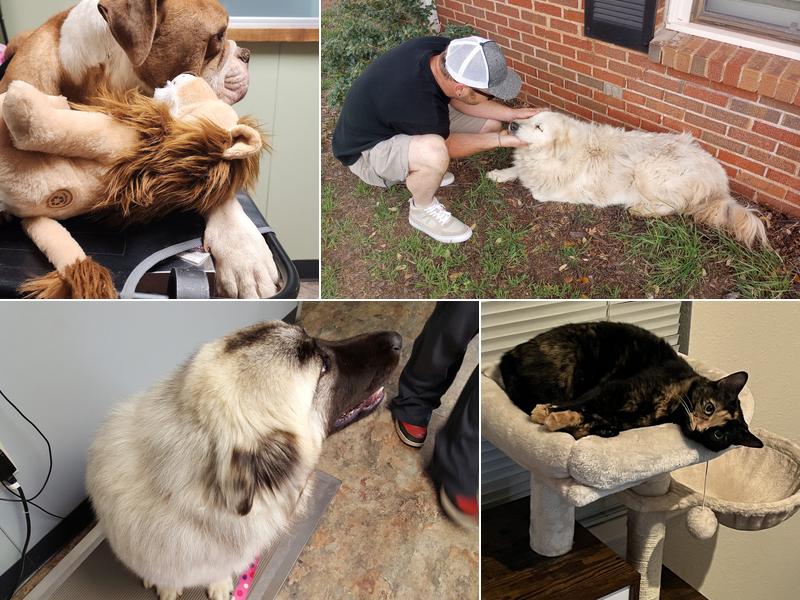 Judge Ely Animal Hospital