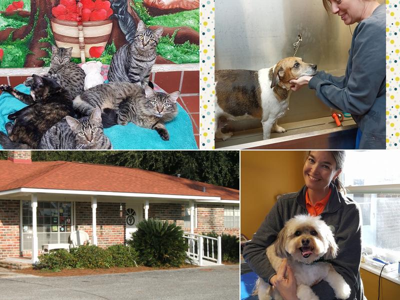 Heilmeier's Bed & Biscuit