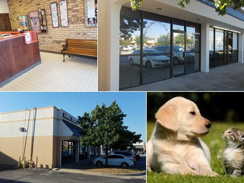 Beltline-Plano RD Animal Hosp