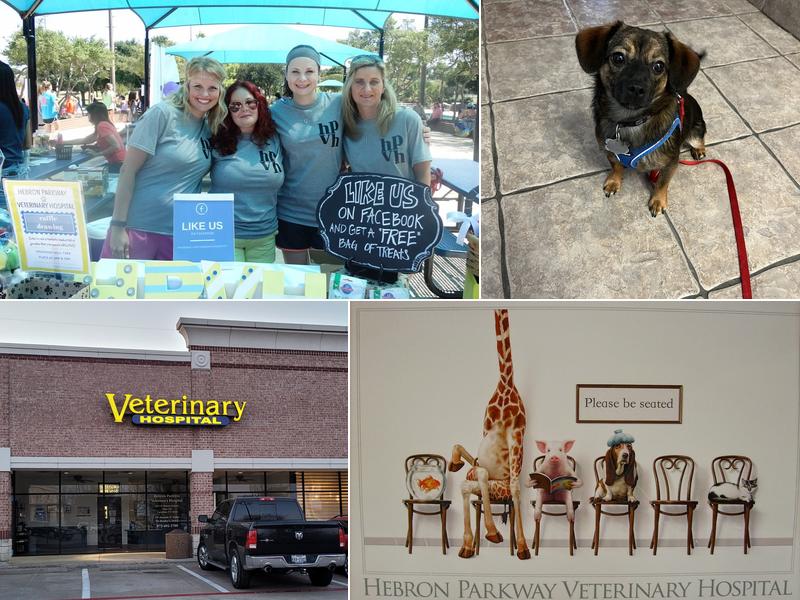 Hebron Parkway Veterinary Hospital