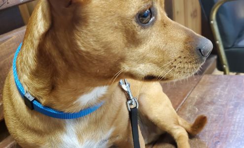 Cameron Veterinary Clinic Cameron