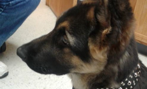 Twin Oaks Veterinary Clinic Cameron