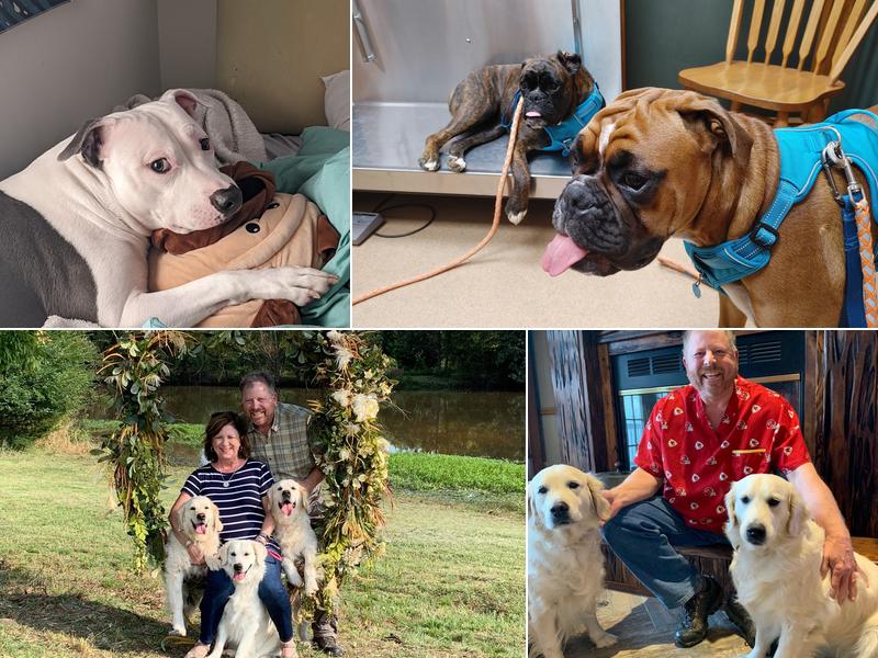 Southland Animal Hospital