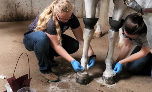 Red Oak Animal Hospital 22345 Antioch Rd, Bucyrus Kansas 66013