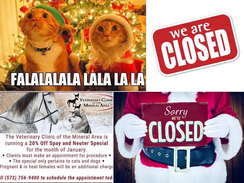 Veterinary Clinic-Mineral Area: Falch Philip DVM