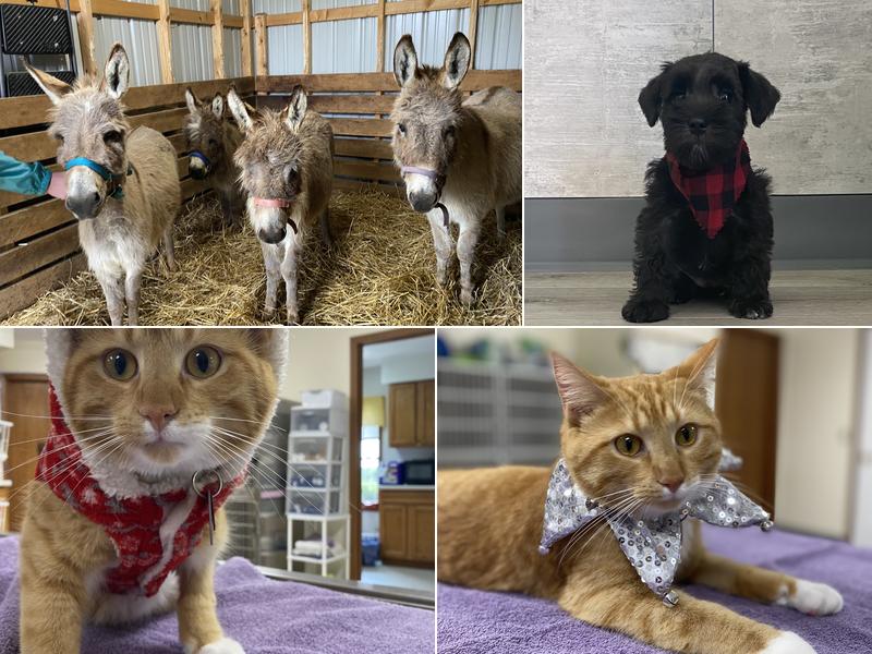 Lindquist Veterinary Center