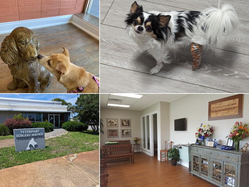 Veterinary Surgery Service Inc