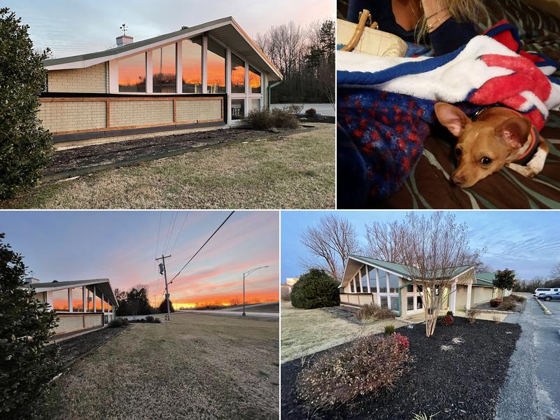 Hillcrest Animal Hospital: Michael F Shepard DVM