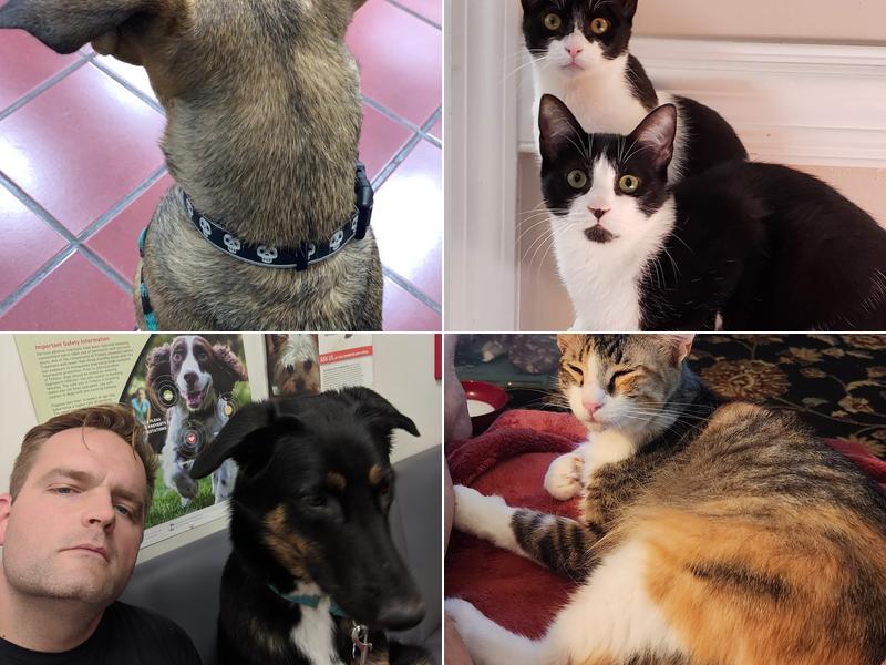 West Mobile Veterinary Clinic