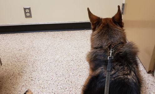 Animal Wellness Center Of Okc