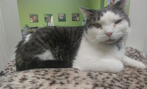 Elm Creek Animal Hospital