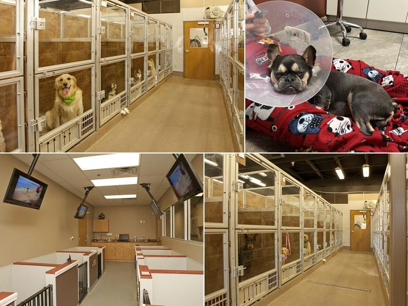 SAHO Owasso Animal Hospital