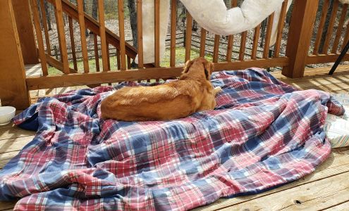 St Clair Pet Hospital