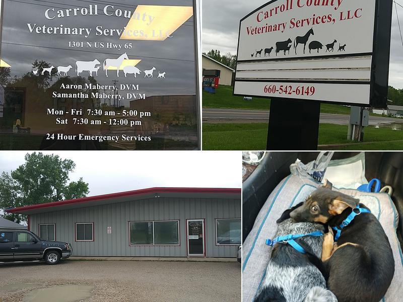 Carroll County Veterinary Services